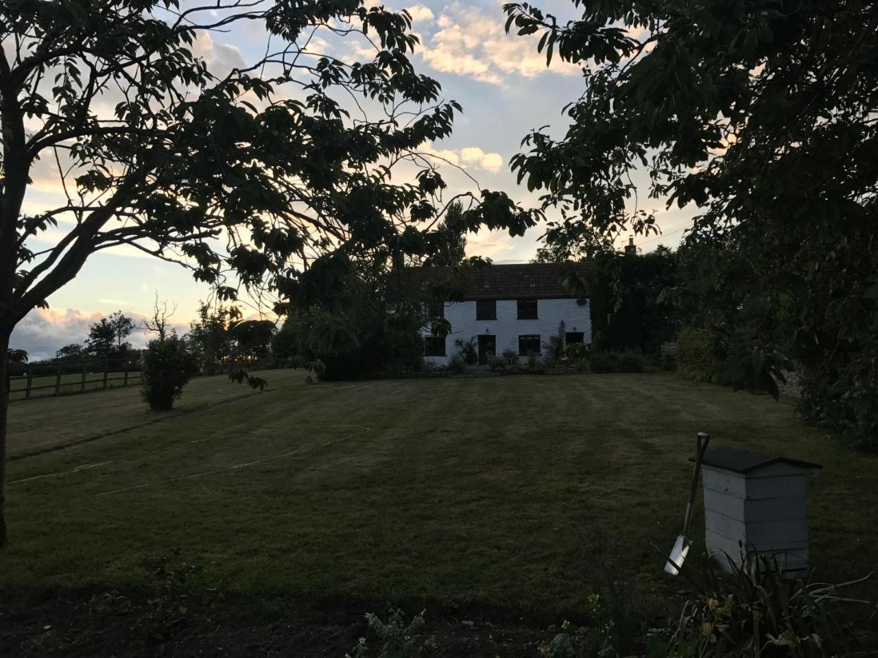 Bed & Breakfast Mount Pleasant Farm Wedmore